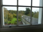 View of garden